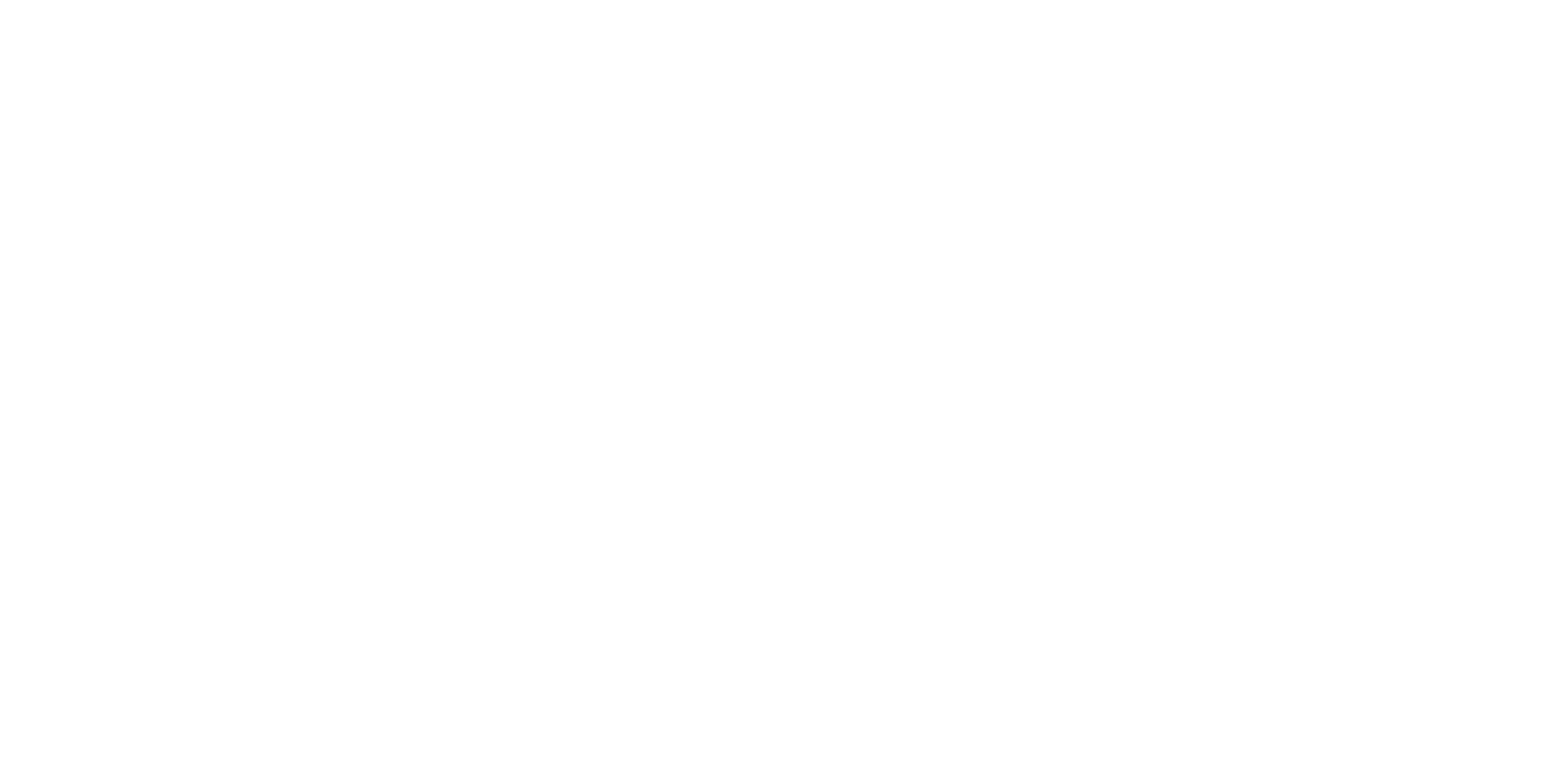 Made of Storm