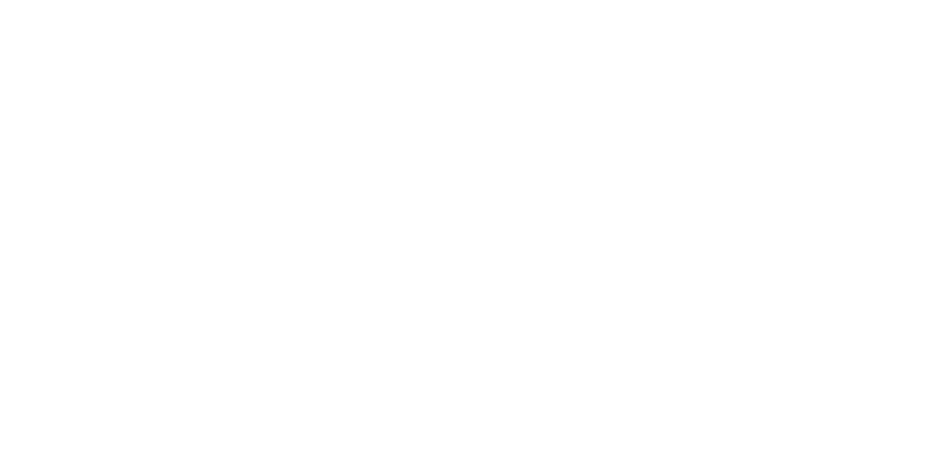 N1 Partners